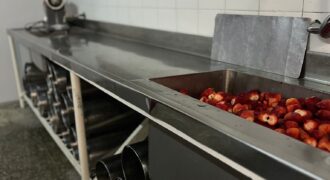 FABRICA DE HELADOS NATURALES – US$ 1.200.000